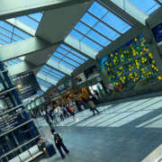 ろいす 松山出勤終了！ ハピネス＆ドリーム 松山道後温泉