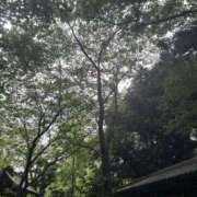 ともか 12日出勤します 奥鉄オクテツ東京店（デリヘル市場）