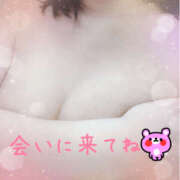 ヒメ日記 2025/06/05 13:43 投稿 ともか モアグループ宇都宮人妻花壇