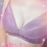 ヒメ日記 2025/06/13 11:13 投稿 ともか モアグループ宇都宮人妻花壇