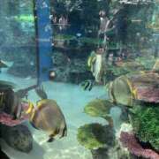 ヒメ日記 2025/06/15 16:52 投稿 ともか モアグループ宇都宮人妻花壇