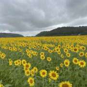 ヒメ日記 2025/08/20 14:07 投稿 ともか モアグループ宇都宮人妻花壇