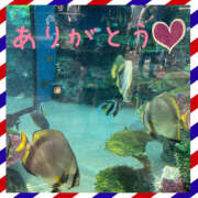 ヒメ日記 2025/08/23 22:01 投稿 ともか モアグループ宇都宮人妻花壇