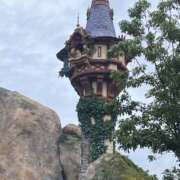 ヒメ日記 2025/09/22 11:34 投稿 ともか モアグループ宇都宮人妻花壇