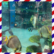 ヒメ日記 2025/10/05 16:02 投稿 ともか モアグループ宇都宮人妻花壇