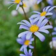 ヒメ日記 2025/06/02 19:42 投稿 まなほ ドMバスターズ 京都店