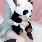 ヒメ日記 2025/06/08 17:01 投稿 もち ドンファン