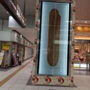 ヒメ日記 2025/06/14 22:40 投稿 こだま 即トク奥さん