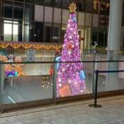 ヒメ日記 2025/11/24 01:50 投稿 こだま 即トク奥さん