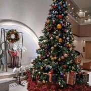 ヒメ日記 2025/11/30 01:20 投稿 こだま 即トク奥さん