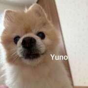 ヒメ日記 2025/07/19 22:07 投稿 ゆの☆ EXE（エグゼ）