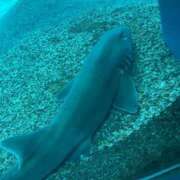 ヒメ日記 2025/08/05 00:29 投稿 ノドカ【FG系列】 デリぽちゃin松戸（FG系列）