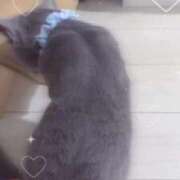 ヒメ日記 2025/08/03 12:13 投稿 ゆら ニューグランド