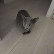 ヒメ日記 2025/08/15 07:33 投稿 ゆら ニューグランド