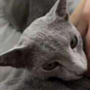 ヒメ日記 2025/09/10 09:43 投稿 ゆら ニューグランド