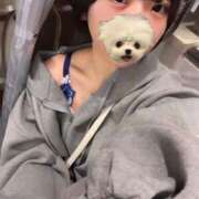 ヒメ日記 2025/09/22 15:34 投稿 ゆら ニューグランド