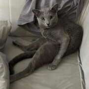 ヒメ日記 2025/10/12 05:56 投稿 ゆら ニューグランド