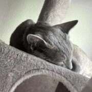 ヒメ日記 2025/10/19 06:16 投稿 ゆら ニューグランド