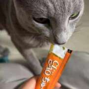 ヒメ日記 2025/10/19 15:03 投稿 ゆら ニューグランド