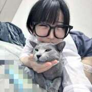 ヒメ日記 2025/11/01 19:03 投稿 ゆら ニューグランド