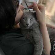 ヒメ日記 2025/11/04 08:13 投稿 ゆら ニューグランド