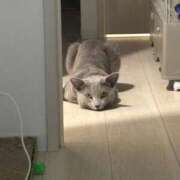 ヒメ日記 2025/11/14 15:54 投稿 ゆら ニューグランド