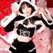 ヒメ日記 2025/11/16 18:05 投稿 ゆら ニューグランド