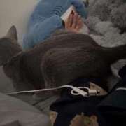 ヒメ日記 2025/11/17 08:13 投稿 ゆら ニューグランド