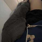 ヒメ日記 2025/12/01 11:13 投稿 ゆら ニューグランド