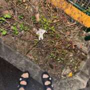 ヒメ日記 2025/12/01 22:03 投稿 ゆら ニューグランド