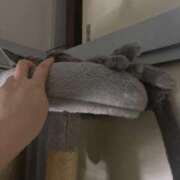 ヒメ日記 2026/03/15 05:57 投稿 ゆら ニューグランド