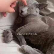 ヒメ日記 2026/04/21 19:43 投稿 ゆら ニューグランド