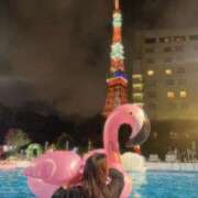 ヒメ日記 2025/09/13 12:15 投稿 めい ぷるりんクエスト上野浅草鶯谷秋葉原デリヘル王国