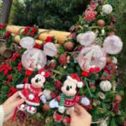 ヒメ日記 2025/11/22 22:15 投稿 めい ぷるりんクエスト上野浅草鶯谷秋葉原デリヘル王国