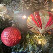 ヒメ日記 2025/12/20 18:13 投稿 めい ぷるりんクエスト上野浅草鶯谷秋葉原デリヘル王国