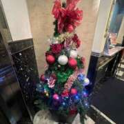 ヒメ日記 2025/12/20 18:42 投稿 めい ぷるりんクエスト上野浅草鶯谷秋葉原デリヘル王国