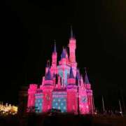 ヒメ日記 2026/02/02 20:48 投稿 めい ぷるりんクエスト上野浅草鶯谷秋葉原デリヘル王国