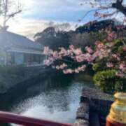 ヒメ日記 2026/04/03 21:15 投稿 めい ぷるりんクエスト上野浅草鶯谷秋葉原デリヘル王国