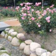 ヒメ日記 2025/06/01 16:20 投稿 はるな 完熟とまと(十三)