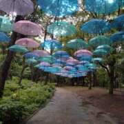 ヒメ日記 2025/07/08 16:23 投稿 はるな 完熟とまと(十三)