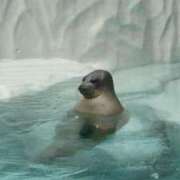 ヒメ日記 2025/11/14 00:35 投稿 茉奈花/まなか ANEJE～アネージュ池袋～(ユメオト)