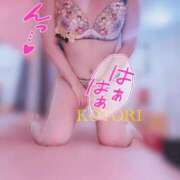 ヒメ日記 2025/06/07 12:57 投稿 ことり 推しの娘