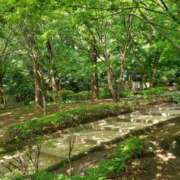 ヒメ日記 2025/07/08 07:08 投稿 咲良（さくら） 出会い系人妻ネットワーク 五反田～品川編