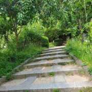 ヒメ日記 2025/08/02 11:38 投稿 咲良（さくら） 出会い系人妻ネットワーク 五反田～品川編