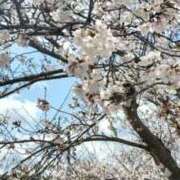 ヒメ日記 2026/04/05 20:00 投稿 咲良（さくら） 出会い系人妻ネットワーク 五反田～品川編