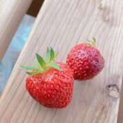 ヒメ日記 2025/05/29 07:31 投稿 門うめ ABC 岩手ソープ