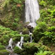 ヒメ日記 2025/06/01 00:01 投稿 門うめ ABC 岩手ソープ