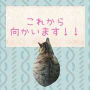 ヒメ日記 2025/06/12 16:31 投稿 門うめ ABC 岩手ソープ