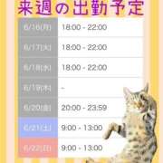 ヒメ日記 2025/06/13 21:31 投稿 門うめ ABC 岩手ソープ