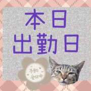 ヒメ日記 2025/06/14 06:31 投稿 門うめ ABC 岩手ソープ